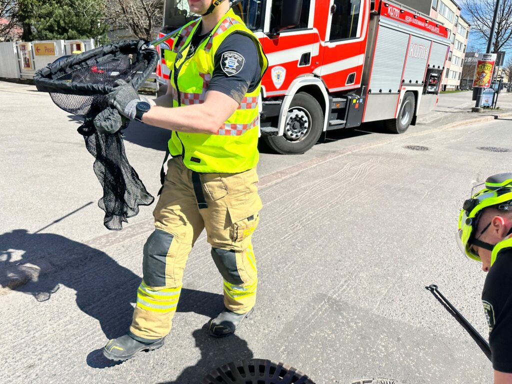 Pelastuslaitos pelasti sorsanpoikasen sadevesikaivosta Järvenpäässä